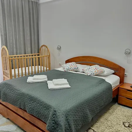 Markovic-a Apartment Soko Banja
