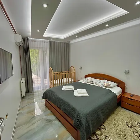 Markovic-a Apartment Soko Banja