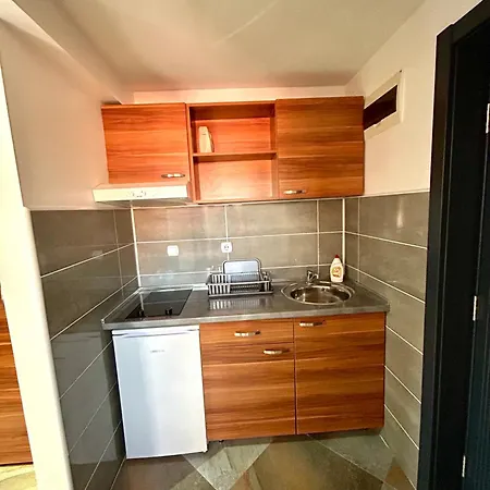 Apartment Markovic-a *