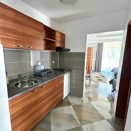 Markovic-a 公寓 索科矿泉村