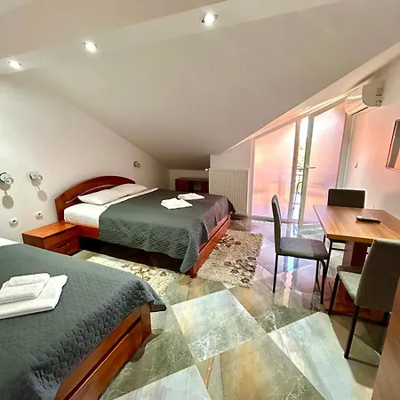 公寓 Markovic-a 索科矿泉村