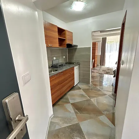 公寓 Markovic-a 索科矿泉村