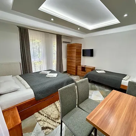 Markovic-a 索科矿泉村