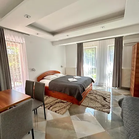 Markovic-a Apartment Soko Banja