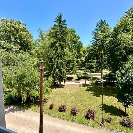 Apartment Markovic-a Soko Banja