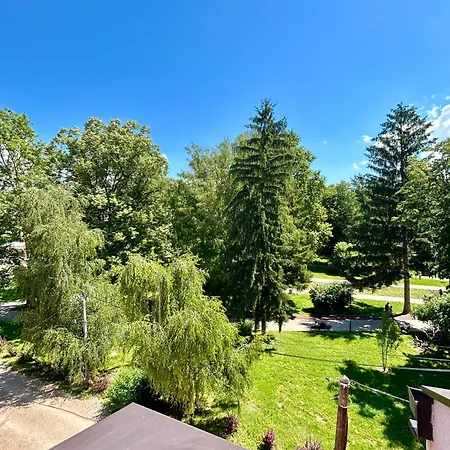 Markovic-a Soko Banja