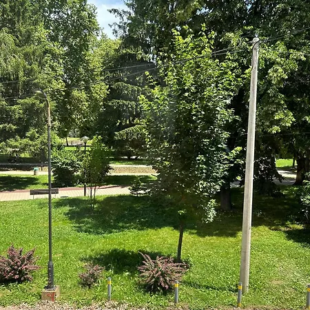 Markovic-a * Soko Banja